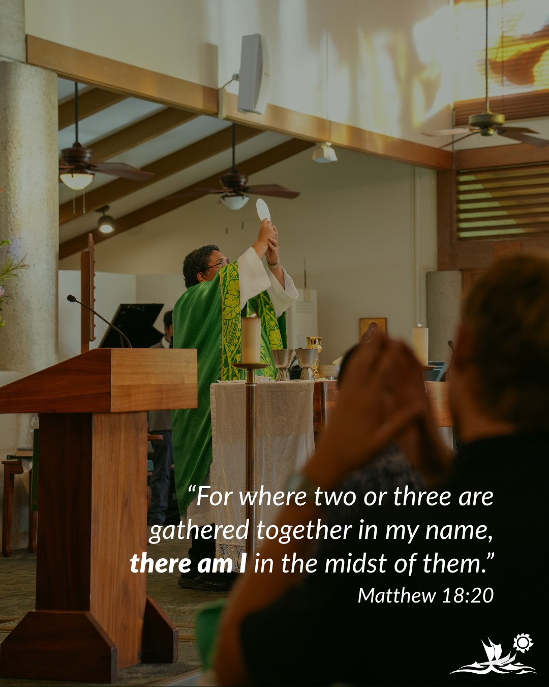 O God, by whom we are redeemed and receive adoption, look graciously upon your sons and daughters, that those who believe in Christ may receive true freedom and an everlasting inheritance.
⁣
#OneFamily #Scipture #Catholic #OrdinaryTime